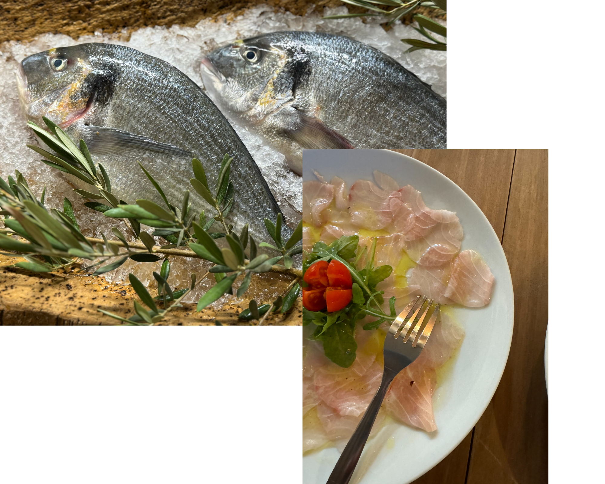 poisson frais